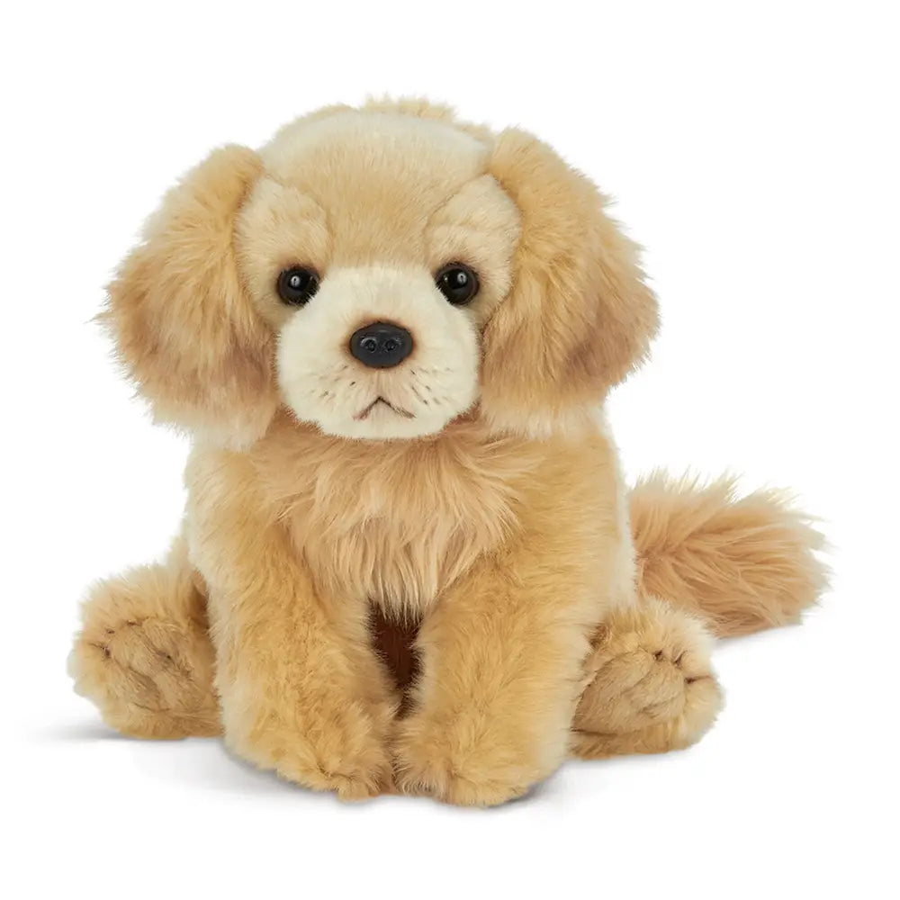 Perro “Goldie”