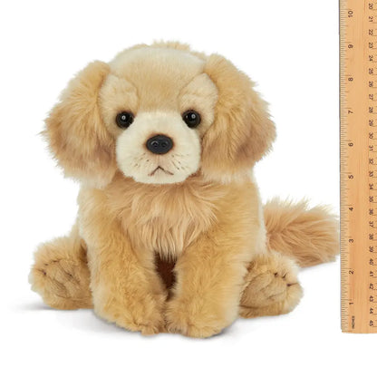 Perro “Goldie”